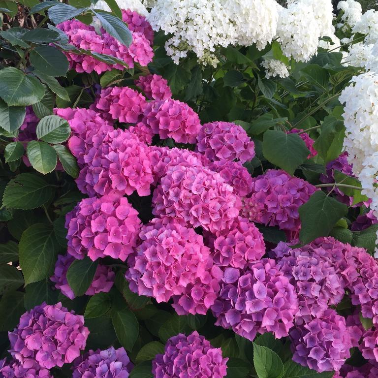Soeruper Hof 호텔 외부 사진